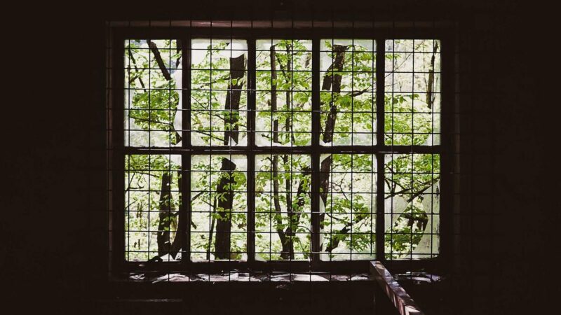 Five signs your business has outgrown its IT support